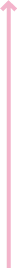 Pink Line